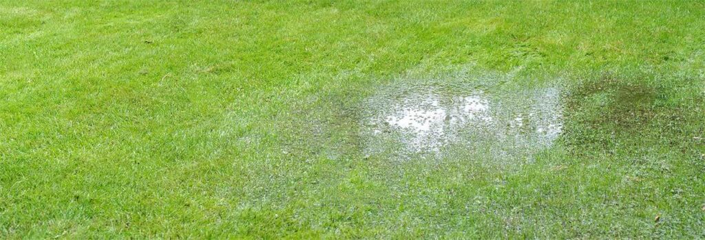 water leak causing wet lawn with puddle