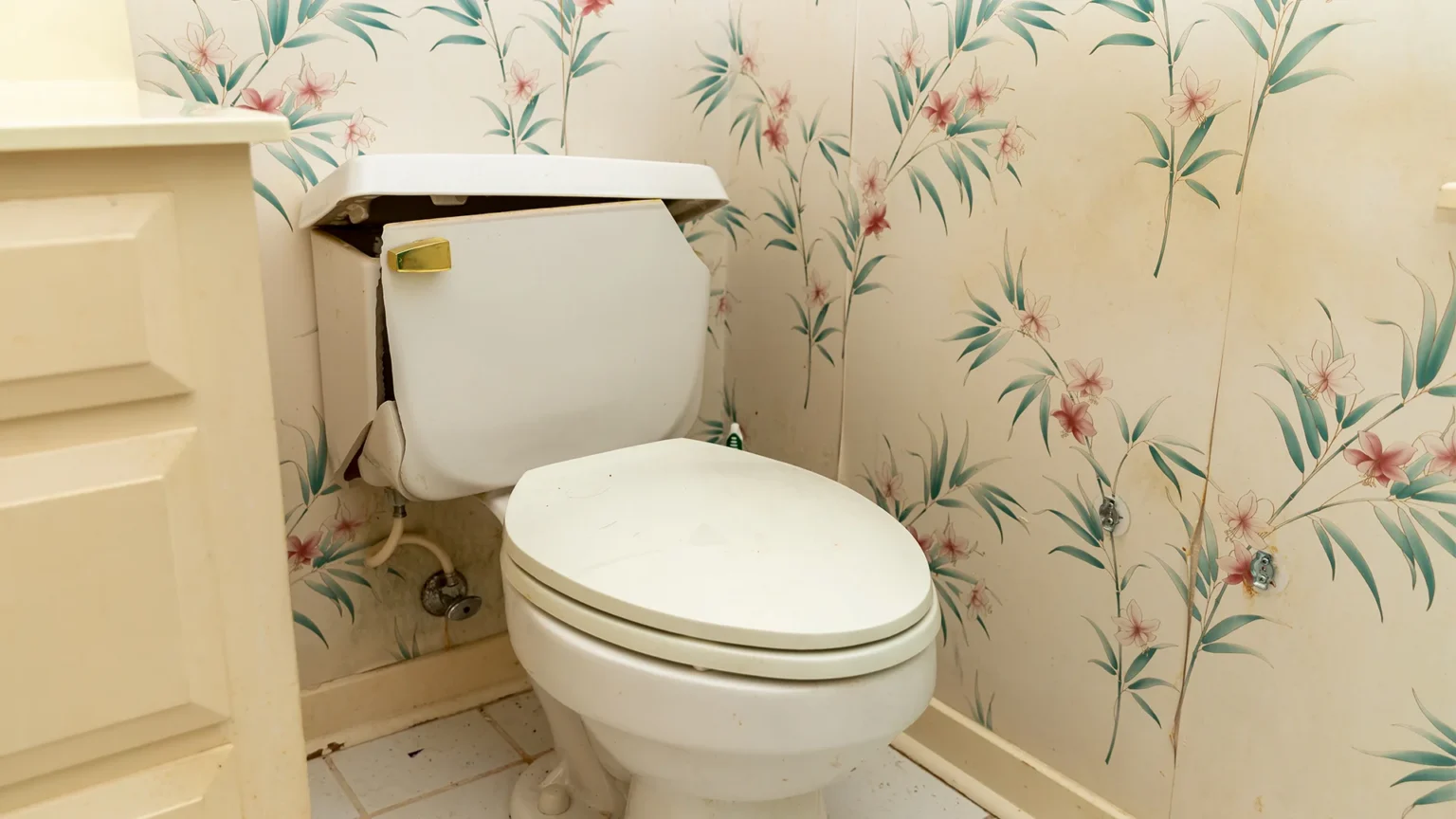 What Causes A Toilet To Break?