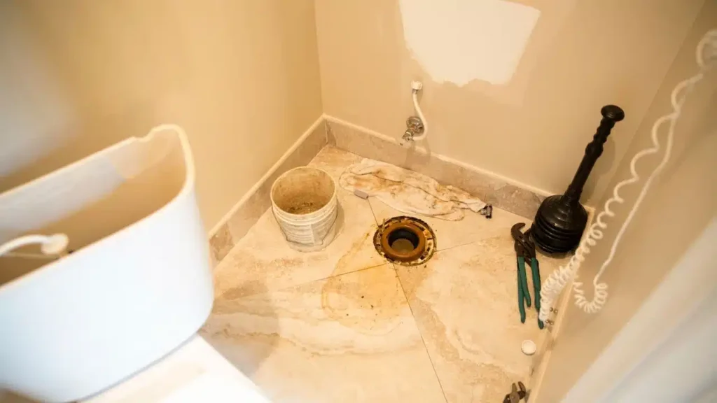 leaking toilet