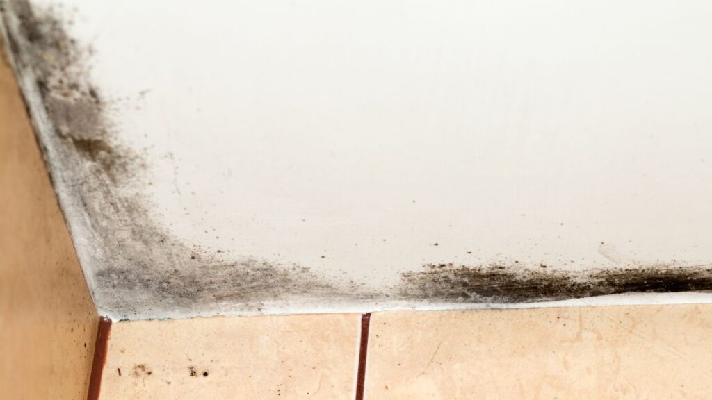 7 Early Warning Signs of Ceiling Mould 7 Early Warning Signs of Ceiling Mould