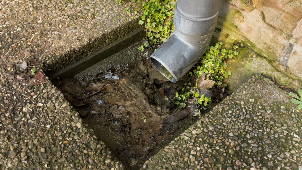 blocked drain repairs in adelaide
