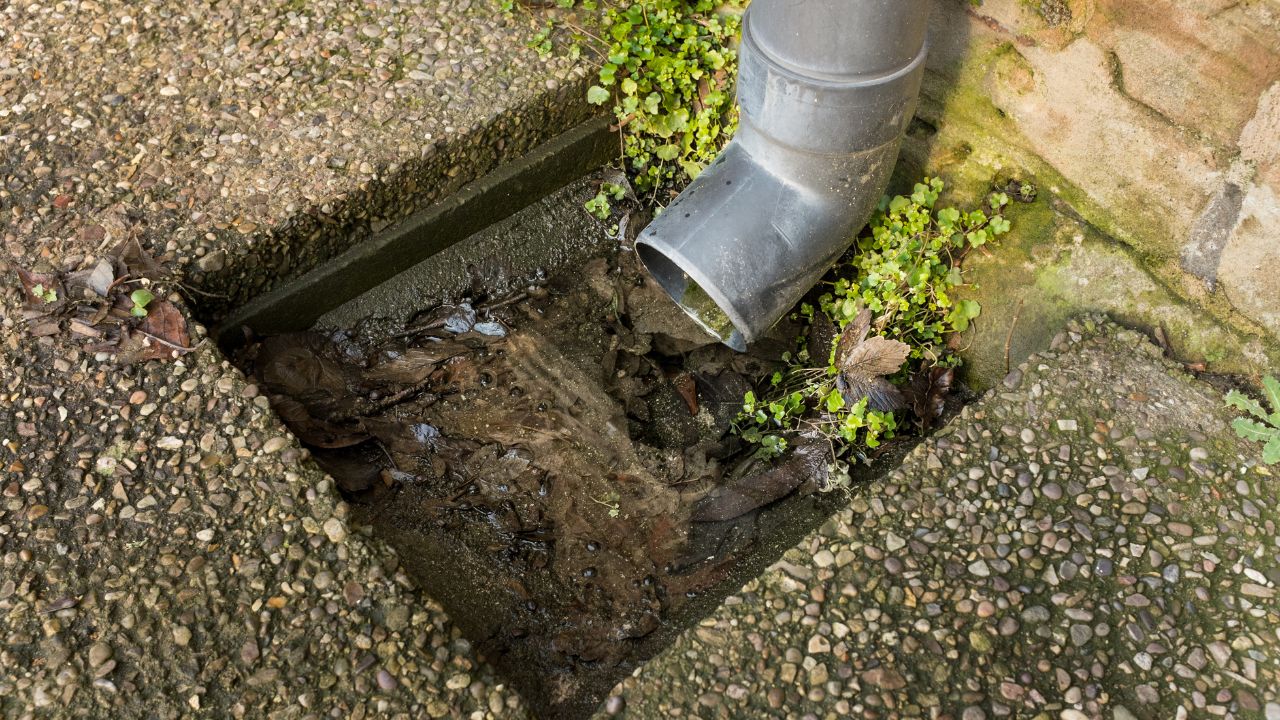 blocked drain repairs in adelaide